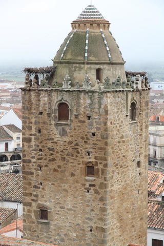 Torre del Alfiler
