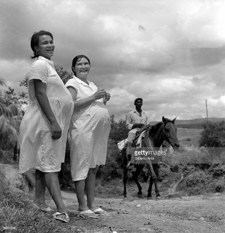 AFINAL, A QUEM “PERTENCE” A PUERICULTURA?