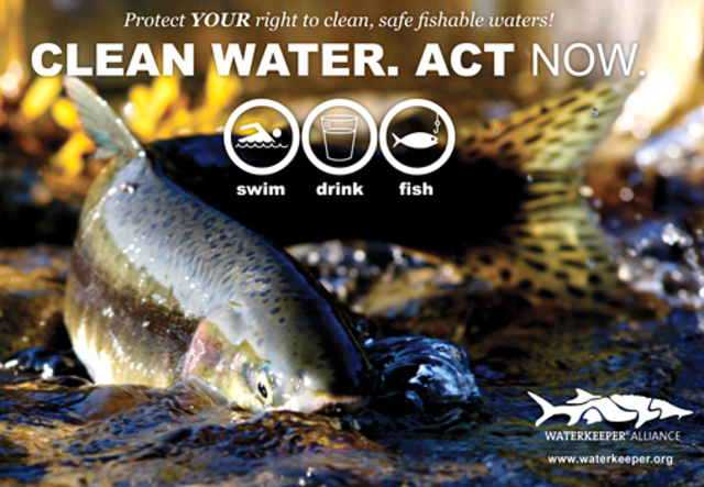 clean water act