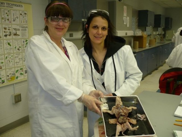 Finally moved to a nice place thats all my own!