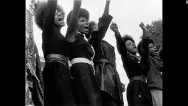 Creation of the Black Panthers
