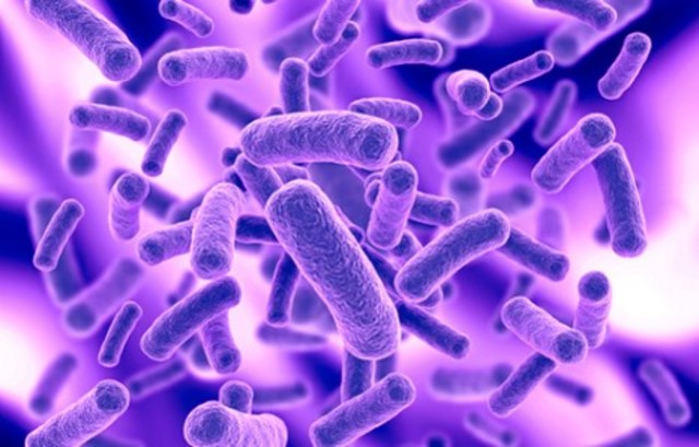 Robert Koch discovers that TB is an microorganism