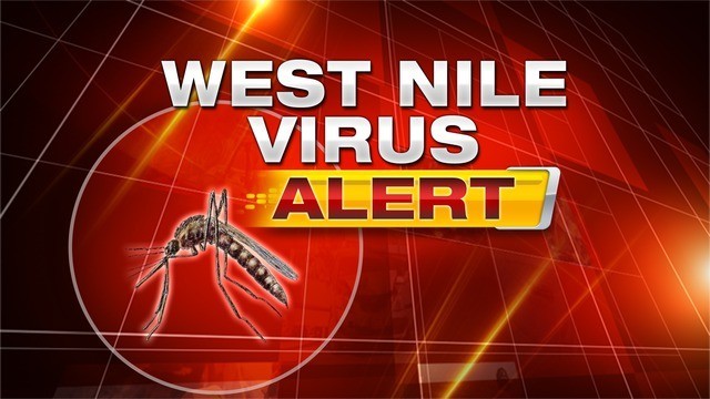 First person discovers west nile virus