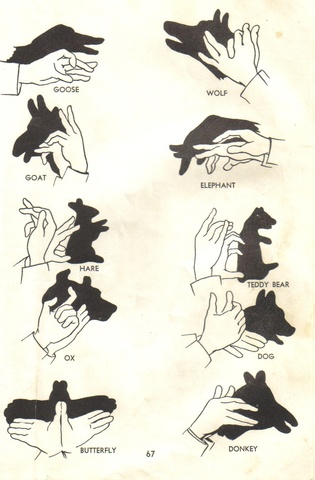 Ombres chinoises à Iruña