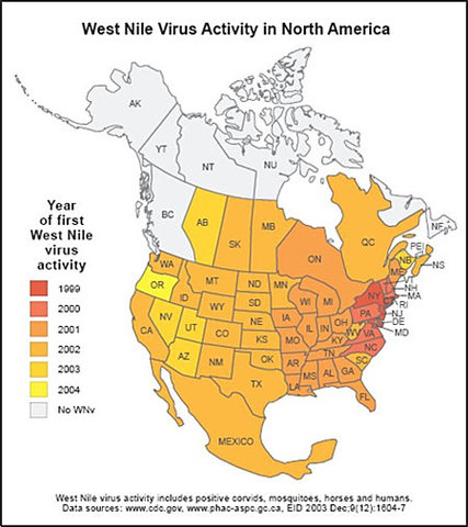 North America outbreak