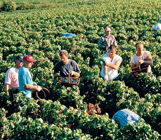 DECRETO 2474 DE 1948