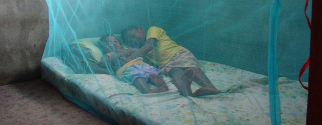 Insecticide-treated bednets work