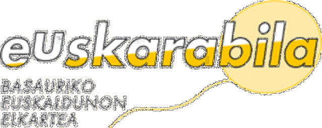 Basauriko Euskarabila Elkartearen sorrera
