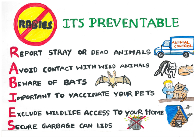 Preventation of Rabies Transmission
