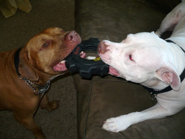 Realizing my Goals, Dad moves in