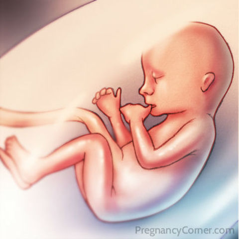 Week Sixteen Developments