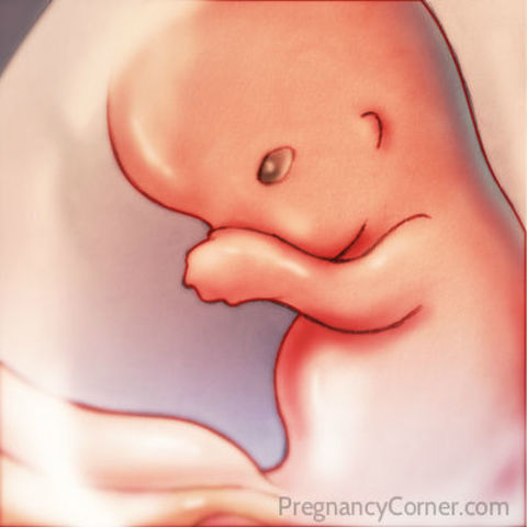 Week Eight Developments