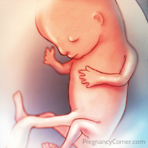 Week Twelve Developments