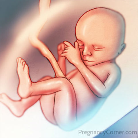 Week Seventeen Developments