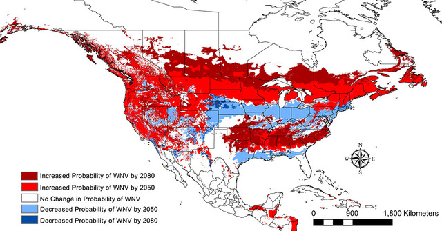 West nile virus spread to America