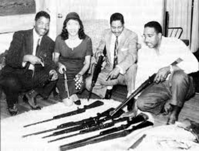 Robert F. Williams and the debate on nonviolence