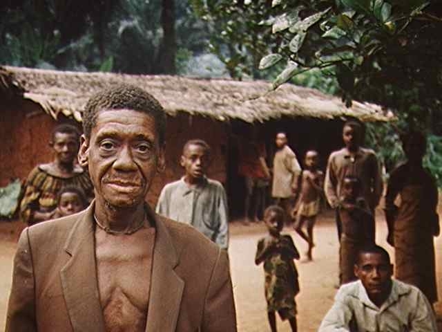 Baaka Language Survey