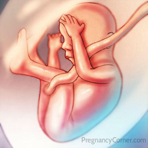 Week Twenty-Three Progression