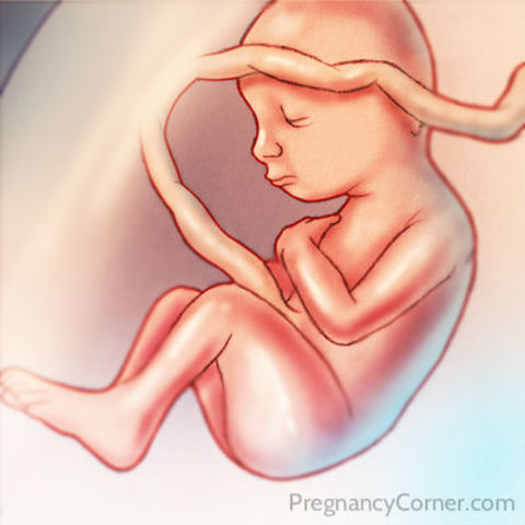 Week Twenty-five Progression