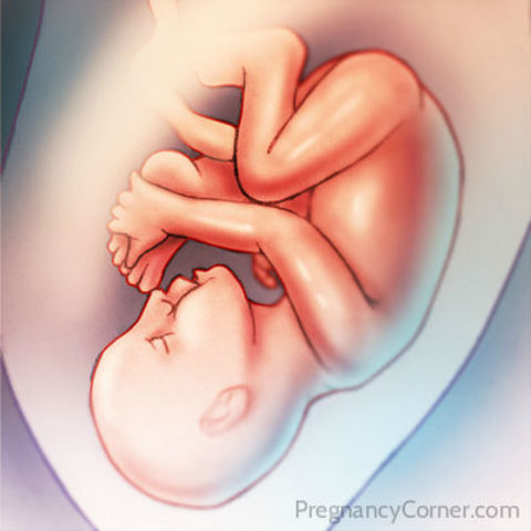 Week Thirty-Four Progression