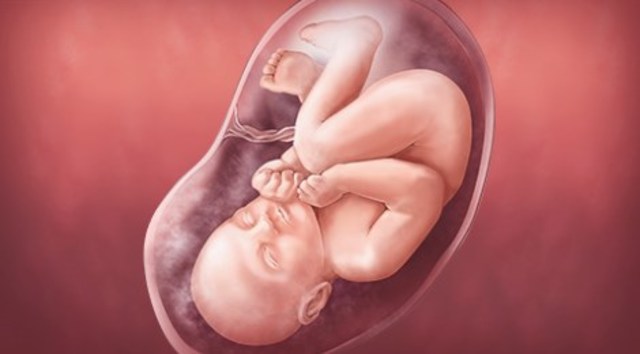 Week Thirty-Five Progession