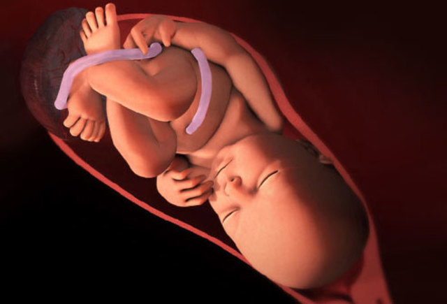 Week Thirty-Nine Progresson