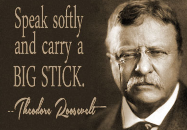 Theodore Roosavelt: Domestic Policy