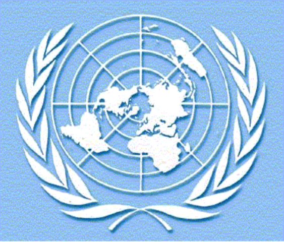 Carta de la ONU La Carta de las Naciones Unidas