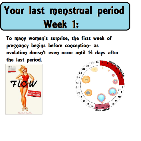 The first day of your the last period