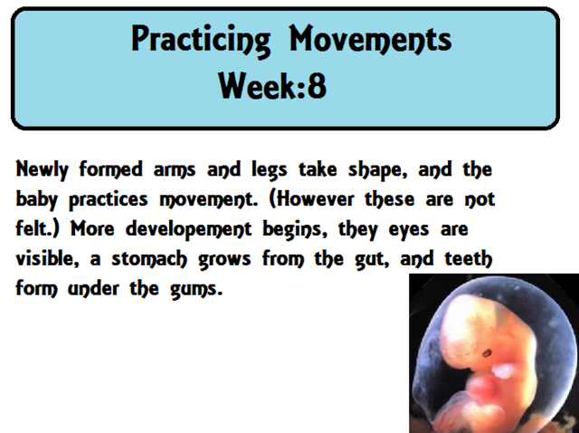 Practicing movements