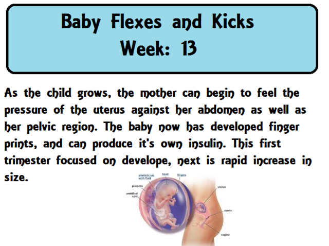 Baby Flexes and Kicks