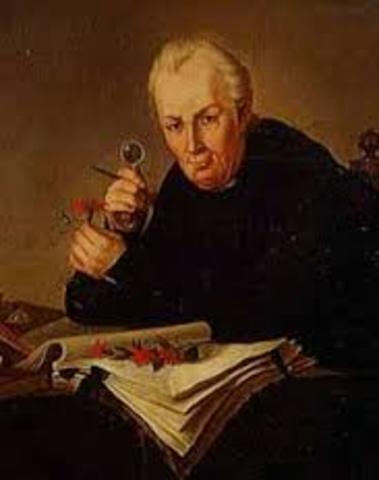 Neoclasicismo (Francia