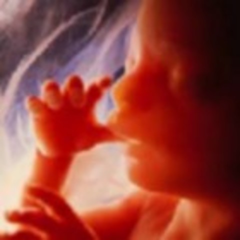 Week 28 of the Third Trimester