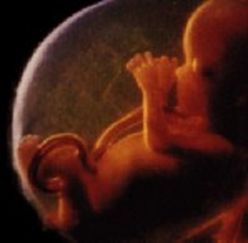 Week Thirteen: Baby flexes and kicks