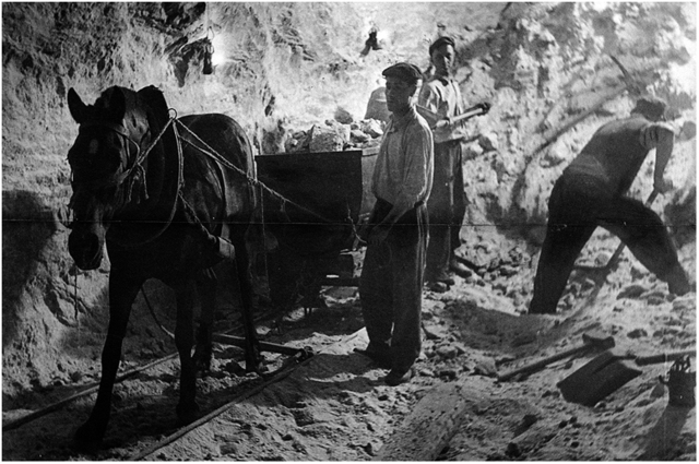 Rendimiento de los mineros