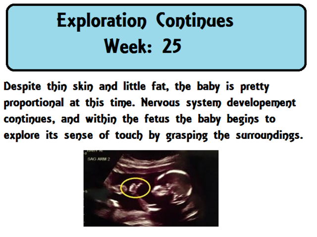 Exploration Continues