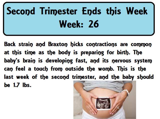 Trimester ends this week