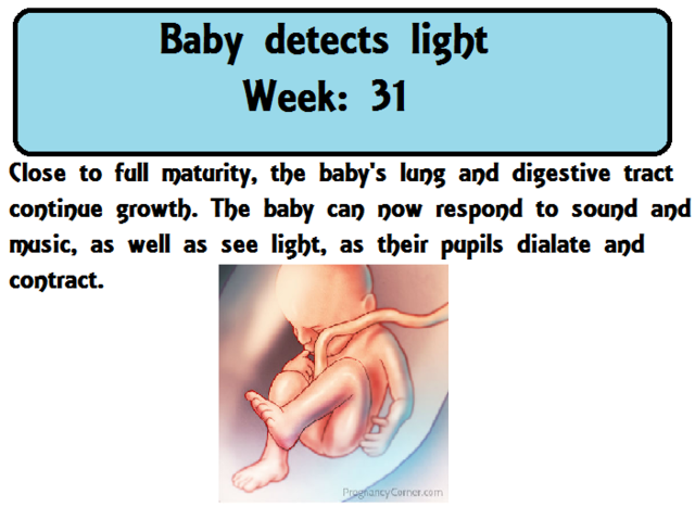 Baby detects light