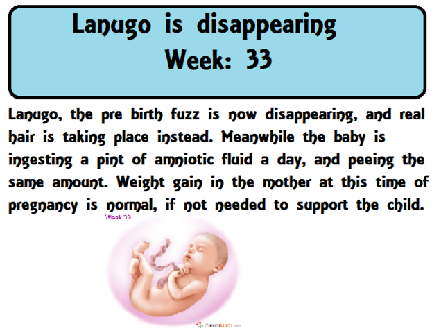Lanugo is disappearing