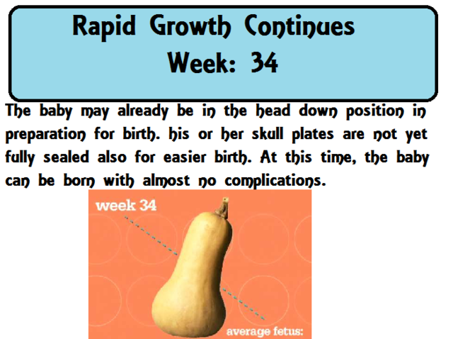 Rapid growth continues