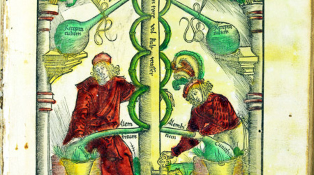 Aqua Vitae is documented in Ireland