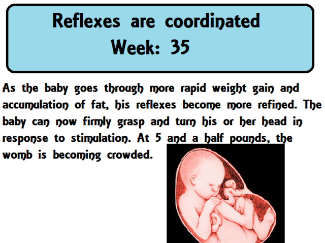 Reflexes are coordinated