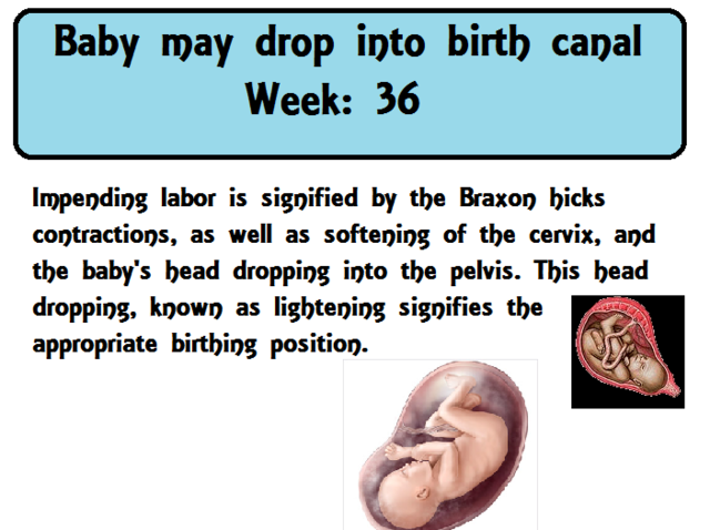 Baby may drop into birth canal