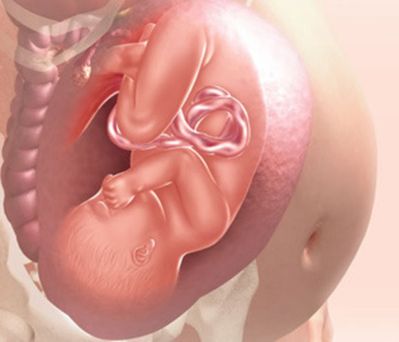 Week Thirty Nine: Very Close Now