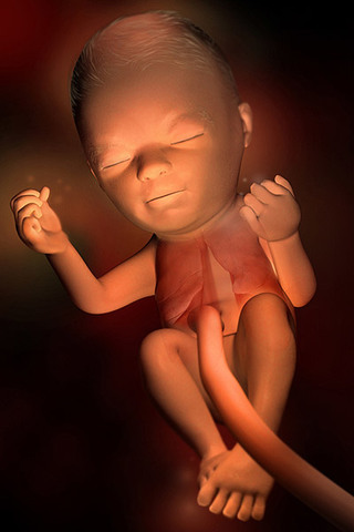 Week 24: Practices breathing