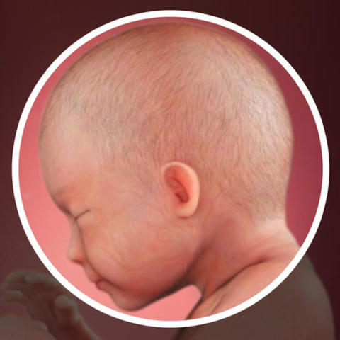 Week 29: Movement is more forceful