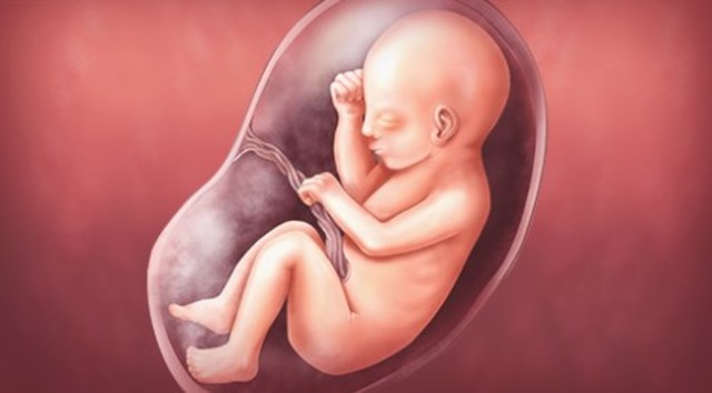 Week 29 forceful movements