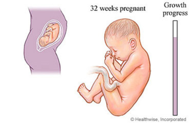 Week 32 continuation of development