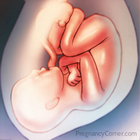 Week 39 "get out of me"