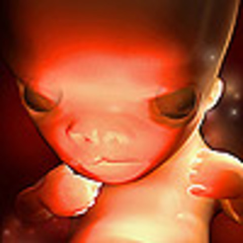 Week 9: Fingers and Toes form